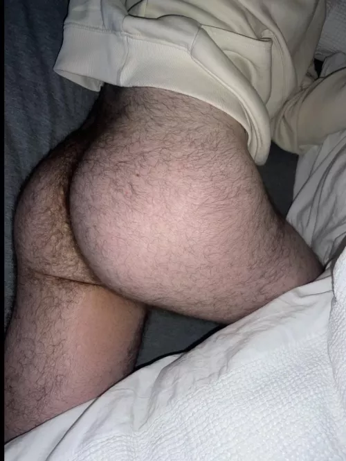 Thoughts?? by Far-Line8446