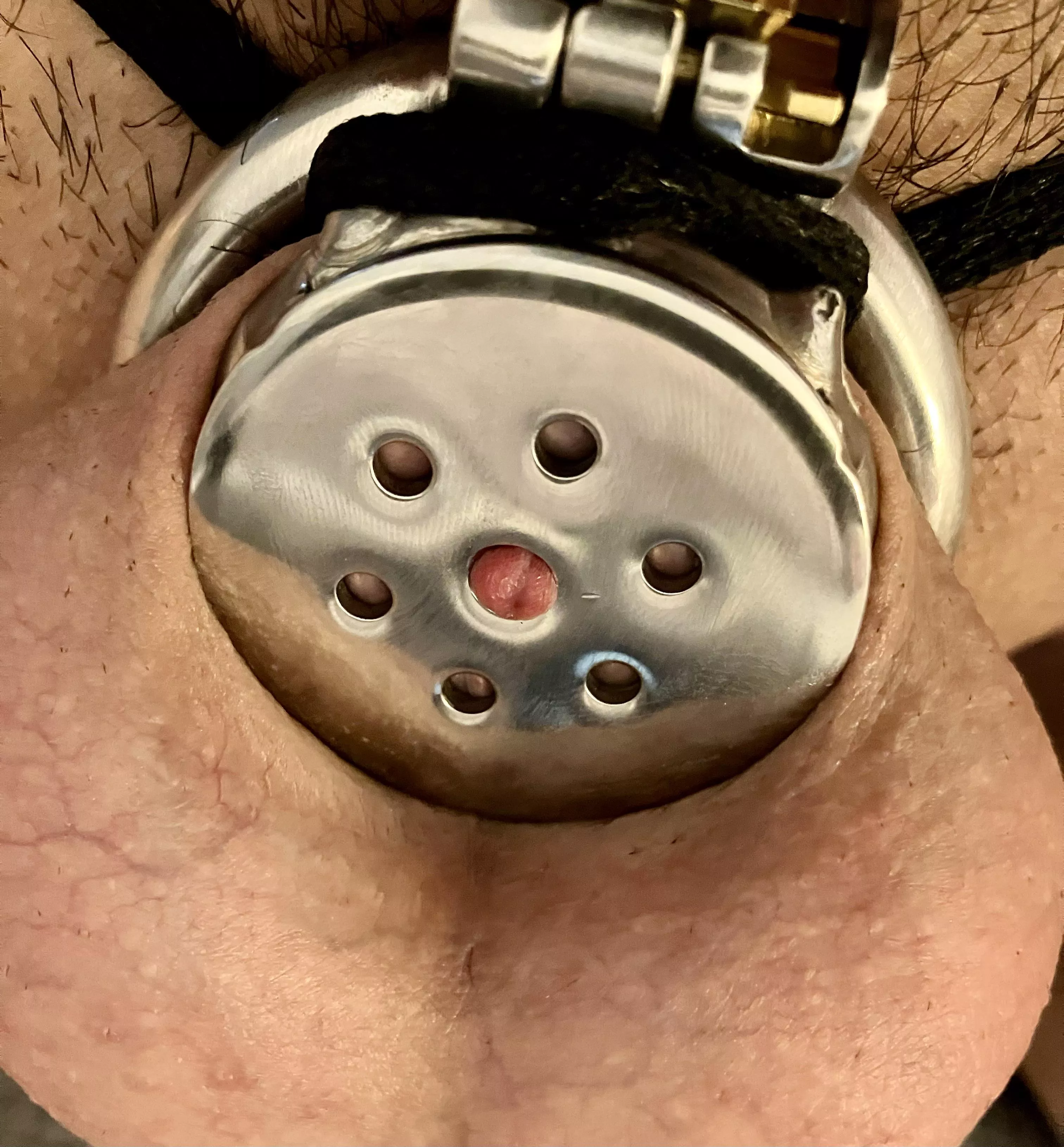 What a beauty ❤️ posted by Due-Needleworker9067