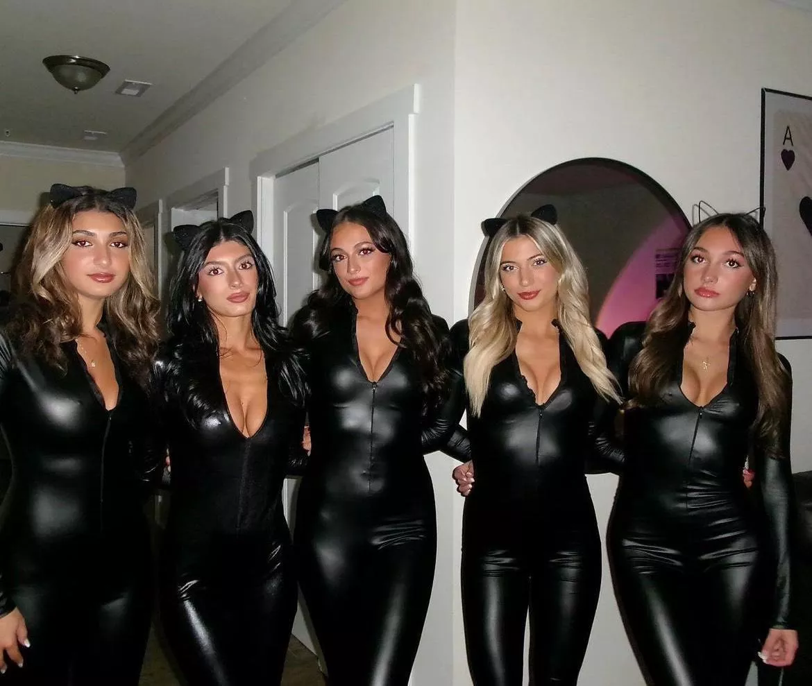 Which cat are you picking? posted by PrettyinPink004