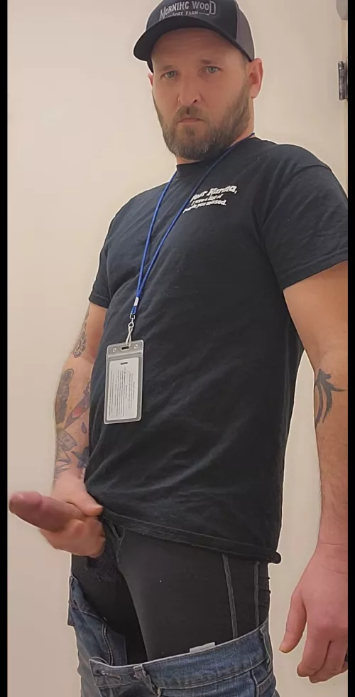 Wild at work [42] by Ok-Current9693