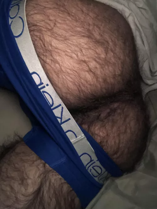 Would you take a hike in this forest I got growing down there? by Clawbinet