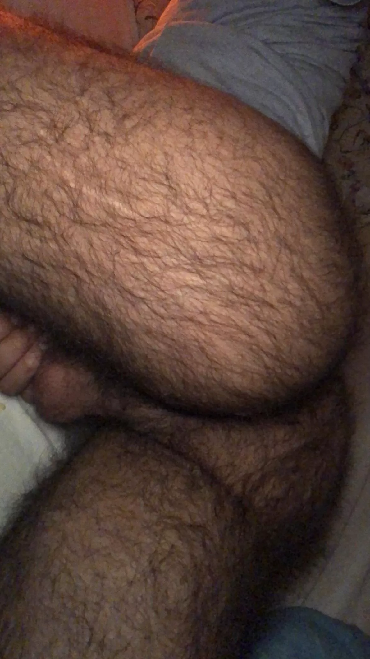 24 in shape Arab bottom with a big furry ass. 👻Snapp me: AmirKhre posted by amirkhre