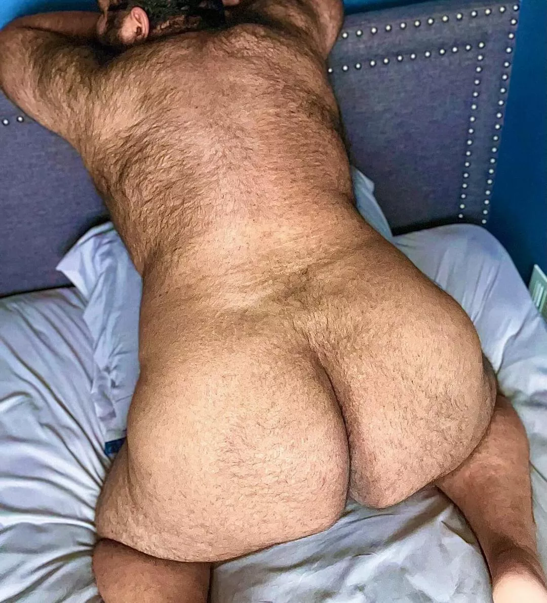 Anyone need a big bear to wake up next to and eat out every morning 😘 posted by SoftBellyBrownBear