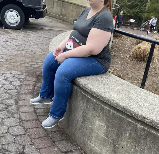 At the zoo today and 30 weeks pregnant. I’m looking massive here. by Pregnantbbw87