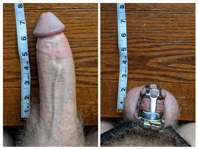 Big cocks deserve locks! by StartNatural8599