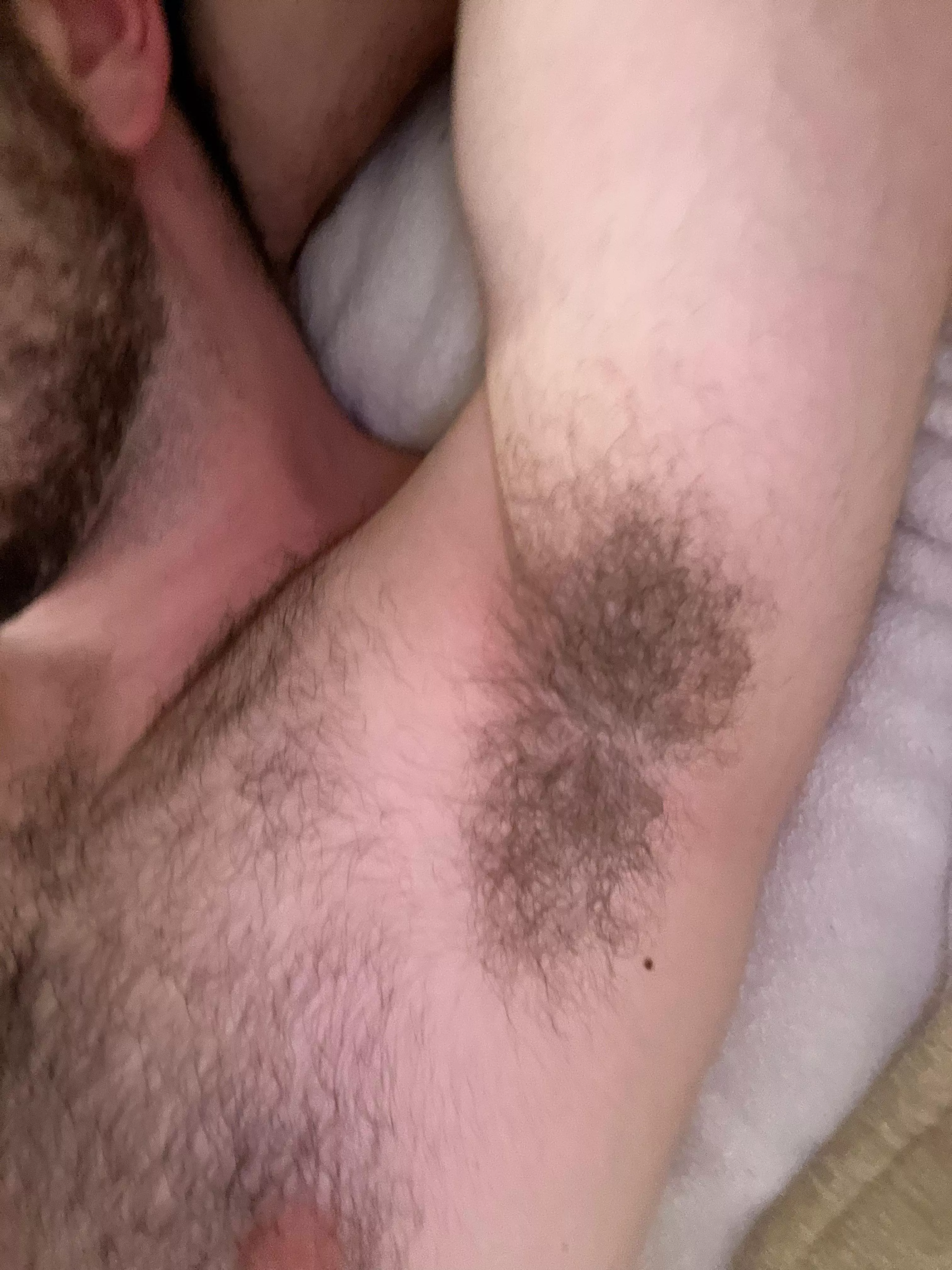 Burry your head posted by Interesting-Sink-832