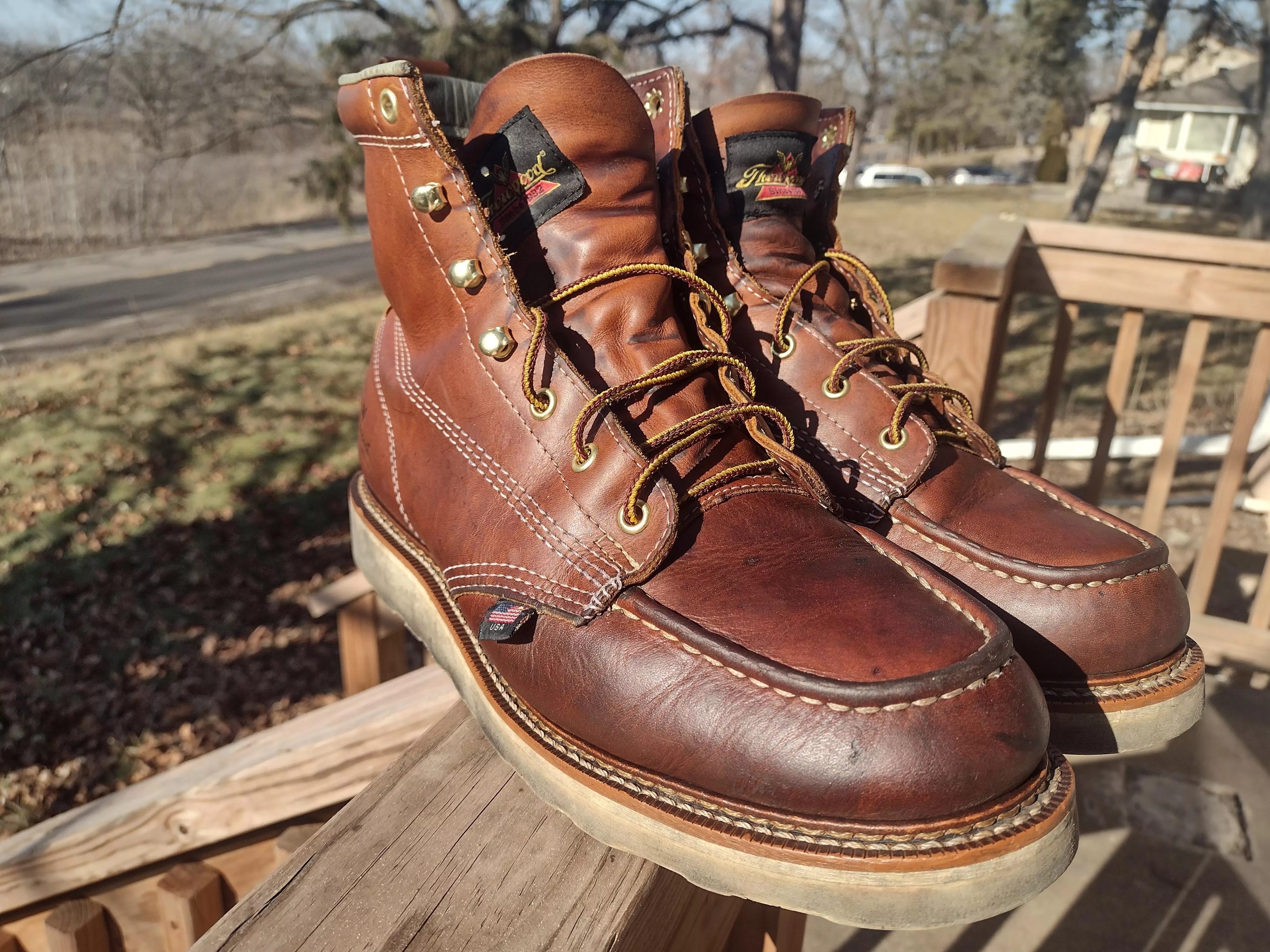 Cleaned and conditioned the money makers. posted by Environmental_Profit