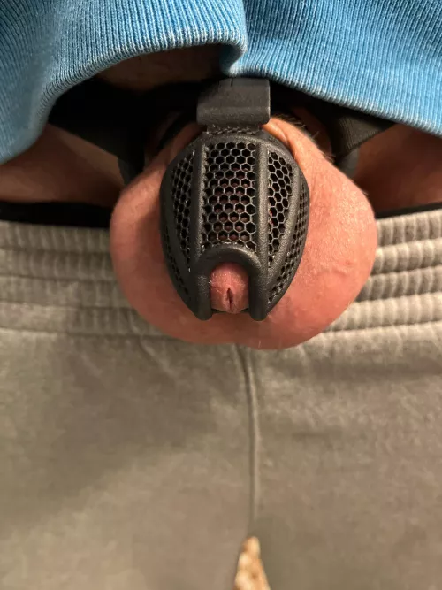 Day 5 of ??? Feeling extra full today by Awkward_Time_1856