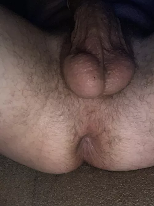 Have at it by DisastrousAnybody962