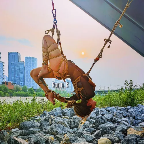 How's this for my first post? by Ronin_K_on_FL