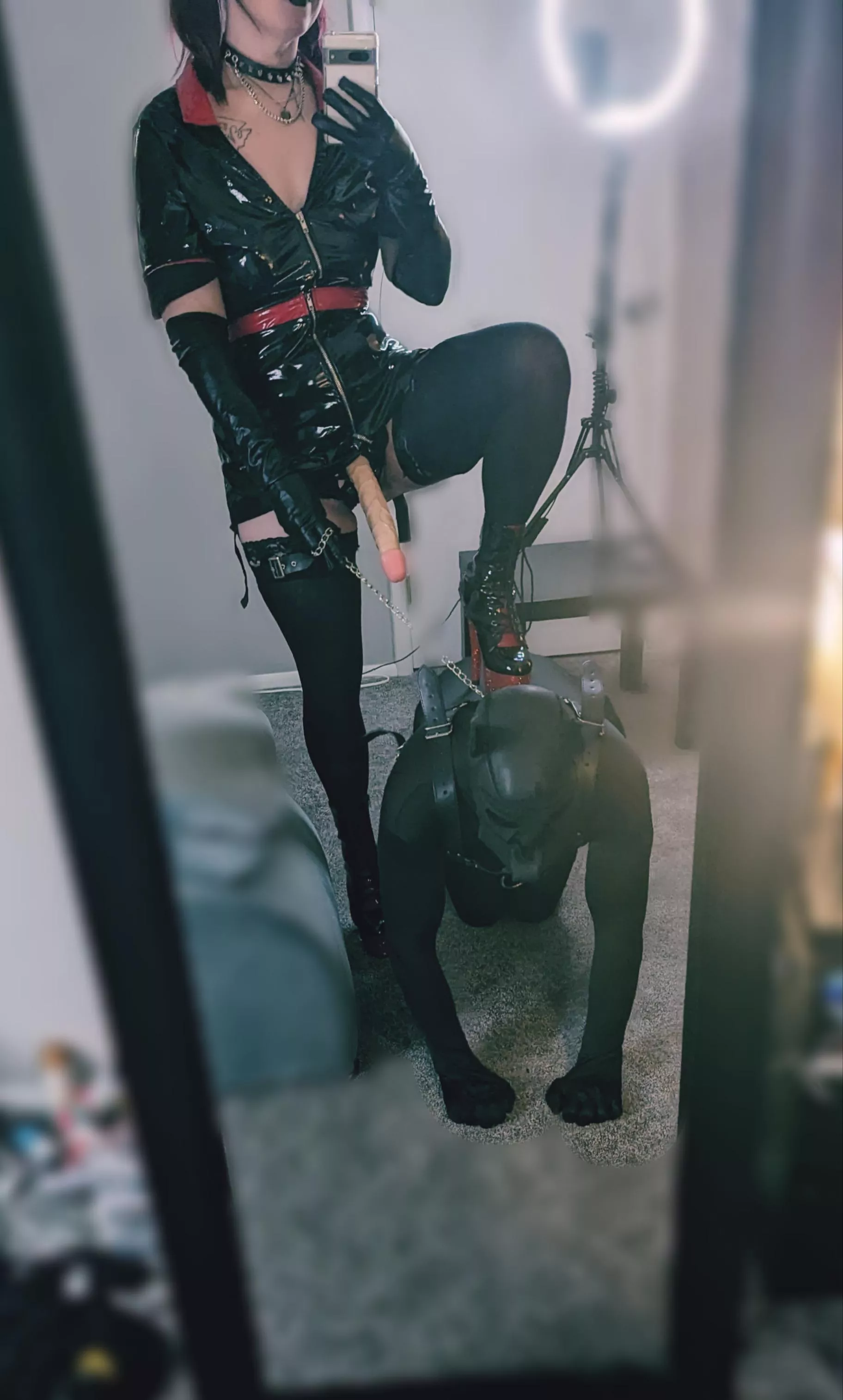 I love adopting new pets [domme] 🐶 posted by duke2071