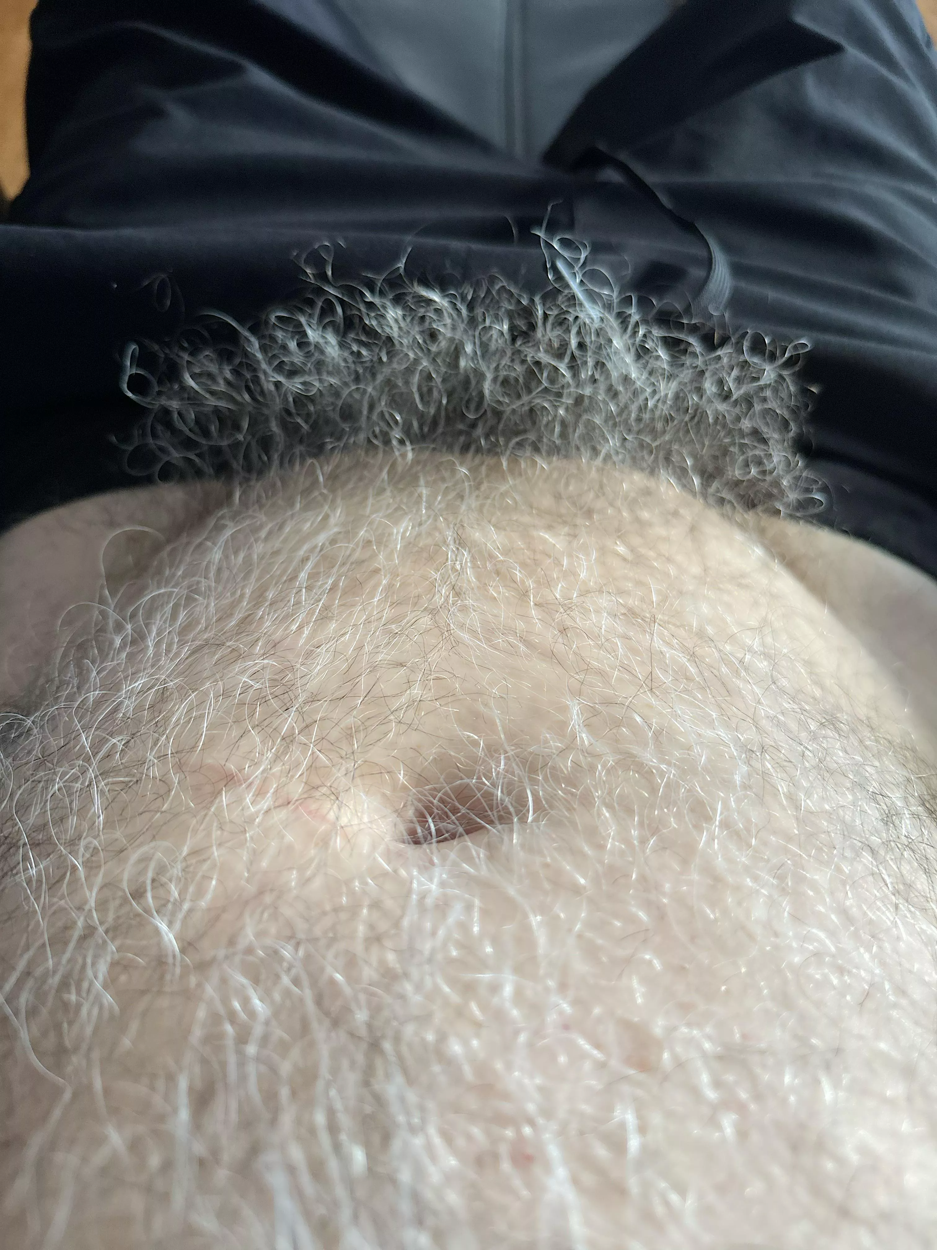 It’s a little wild today posted by Cameht