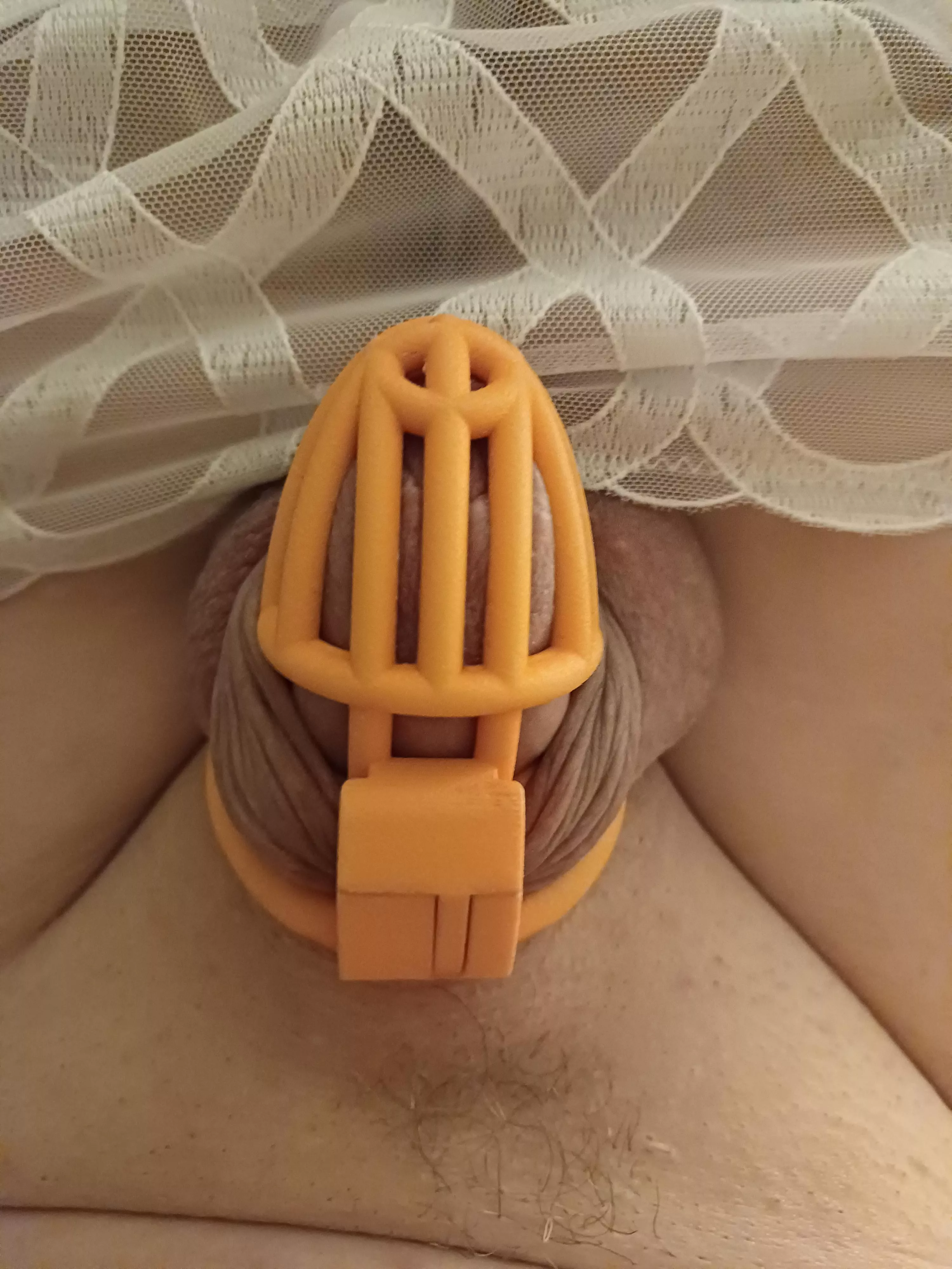 It's been a while posted by Sissy_Nicci