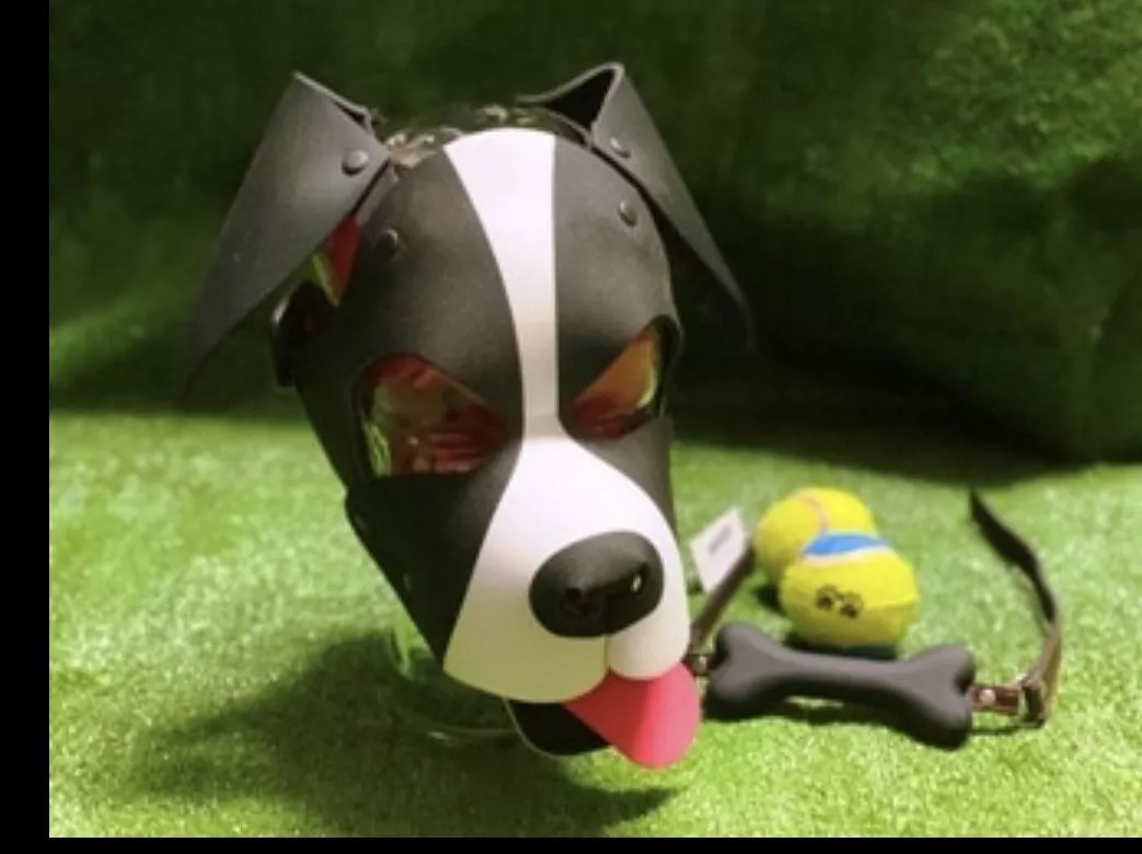 Just ordered my first puppy hood can't wait to receive it posted by Original-Rice8977