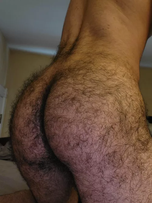 Like it? by Hyena_laugh1276