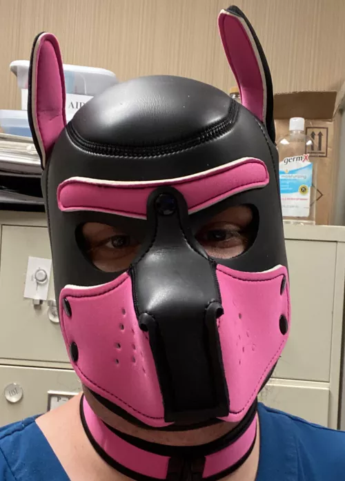 Pup looking for friends and handler by sissyskiddy
