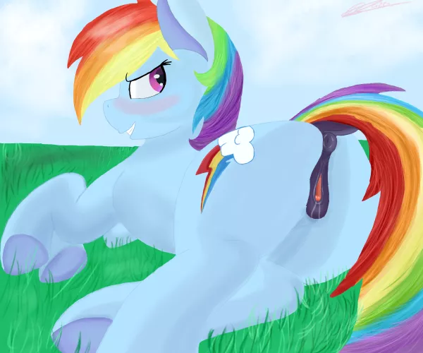 Rainbow Dash in a grassy field {Artist:me} by LaughMcgee