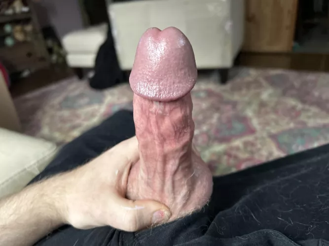Some cock for you! by sexydaddycumtribs