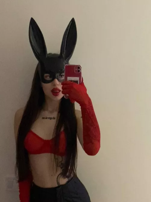 sunday bunny by alice_magical