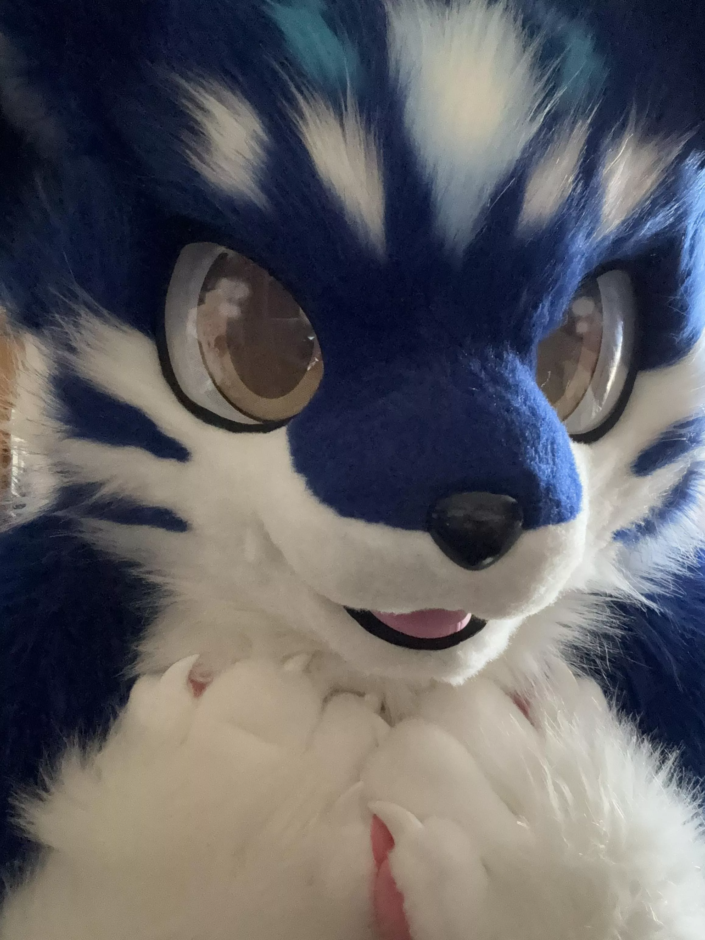 Thank you posted by INeedMedicalTherapy