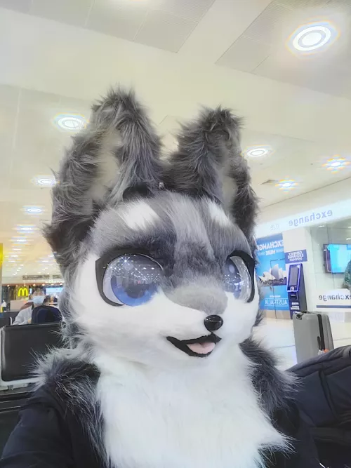 Update: I left the airport toilet and made it to Sydney safely! Had a lot of weird looks and people saying oh my god. Aussie border patrol were very cool by Brian0749