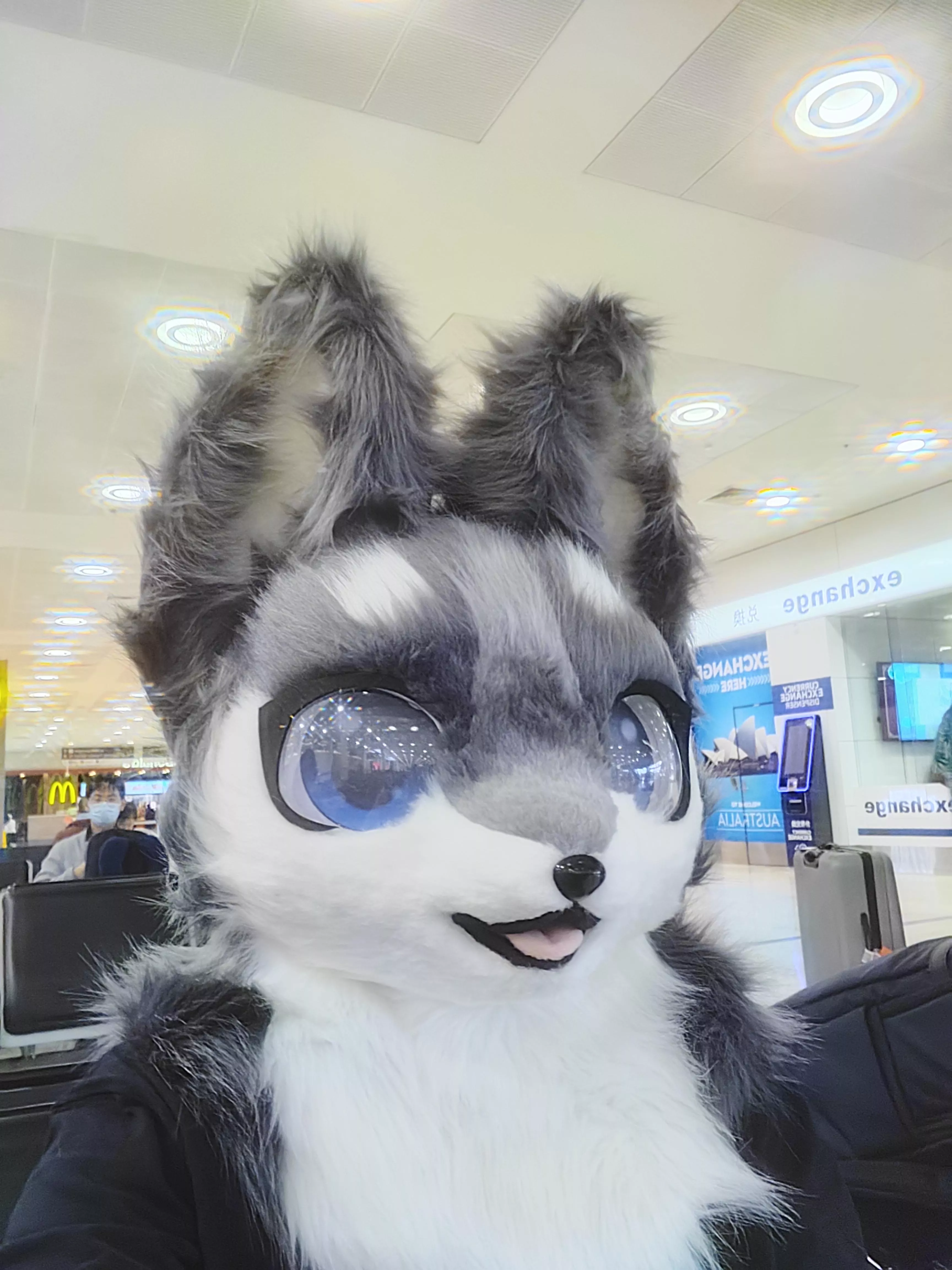 Update: I left the airport toilet and made it to Sydney safely! Had a lot of weird looks and people saying oh my god. Aussie border patrol were very cool posted by Brian0749