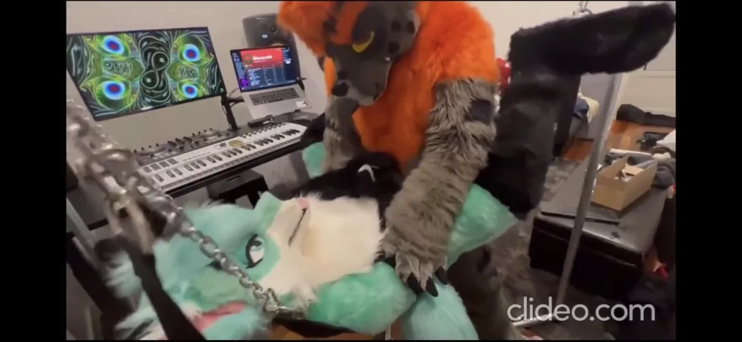 What Fursuit couple are these? by WelshGamerMan