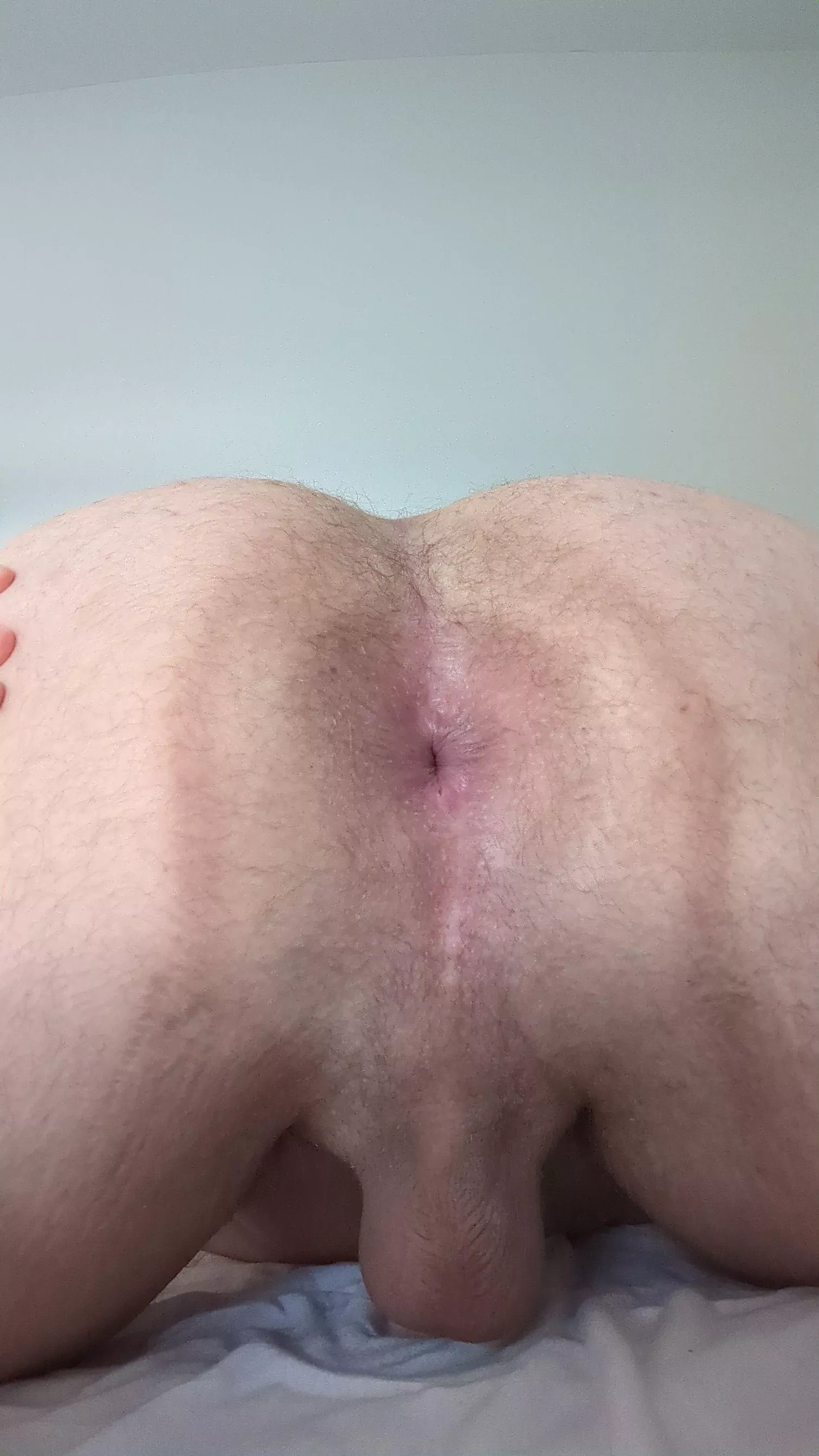 Would you eat it? posted by Wayne-warry