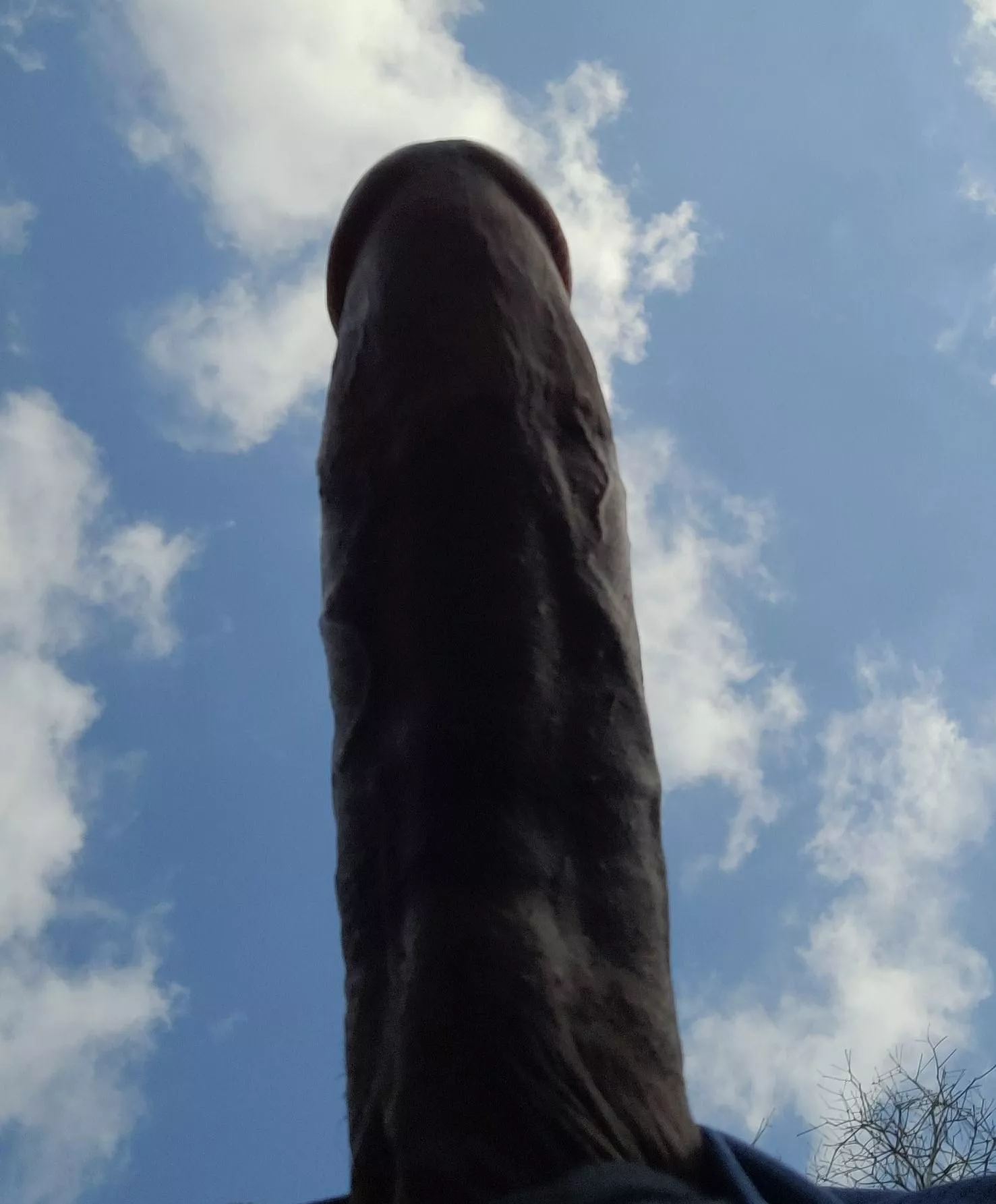 Your POV on our walk 😈 posted by BbcInFL