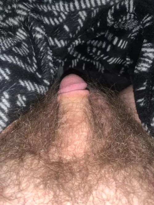 All bushy by Camper_20