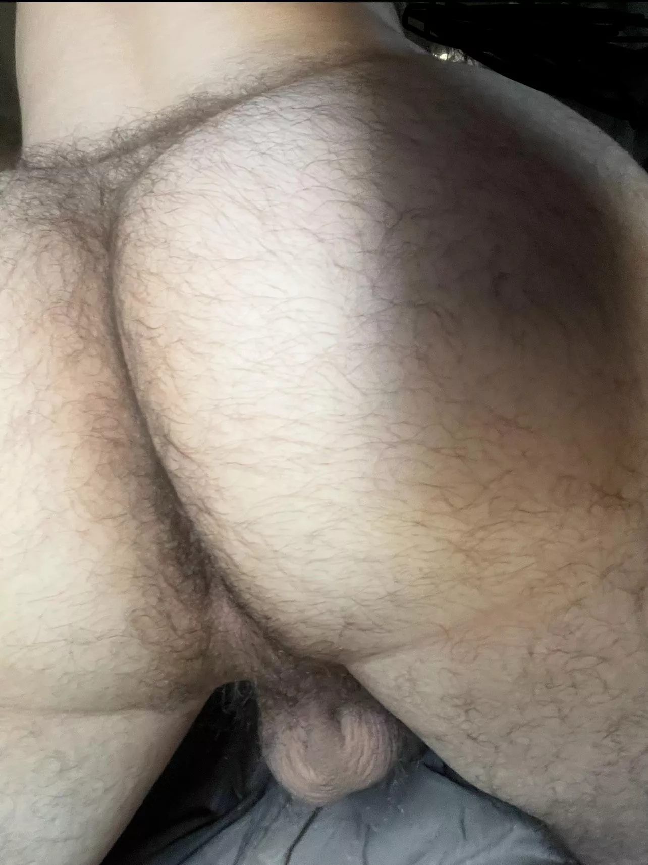 Any one like furry butts? (21) posted by pax714