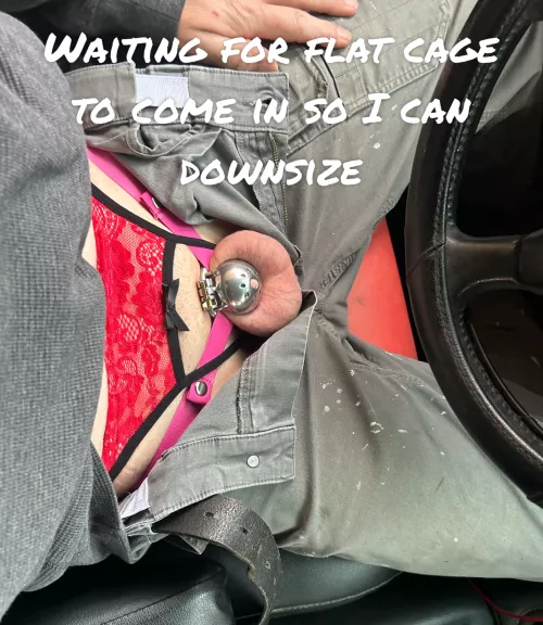 Cage inspection while at work by Hot-Space-1225