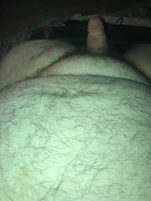 Cub needing to be bred(texas) by Educational_Ant1387