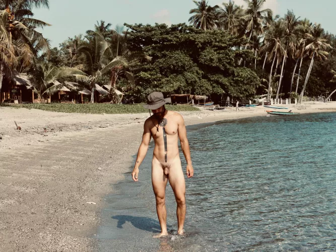 Freedom paradise by n0aNo4