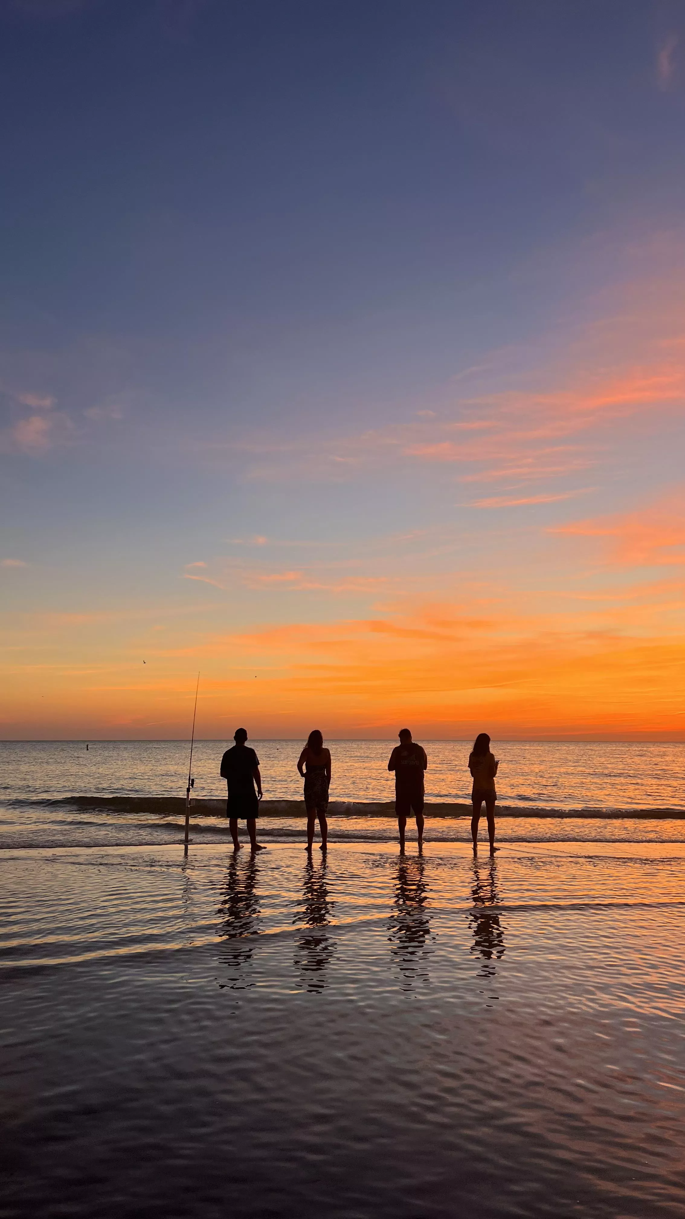 Friends in our backyard posted by kenjinyc