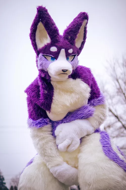 Hey there~ Wanna be my valentine? by PreyingShark