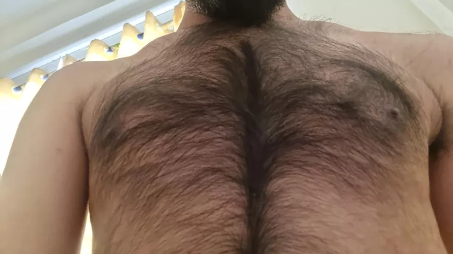 I grew this fur for winter, by with summers approaching it's getting too hot.. by Steamy_Influence