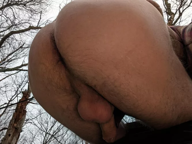 If we were hiking would you let me sit on your face by Parking-Bit1665