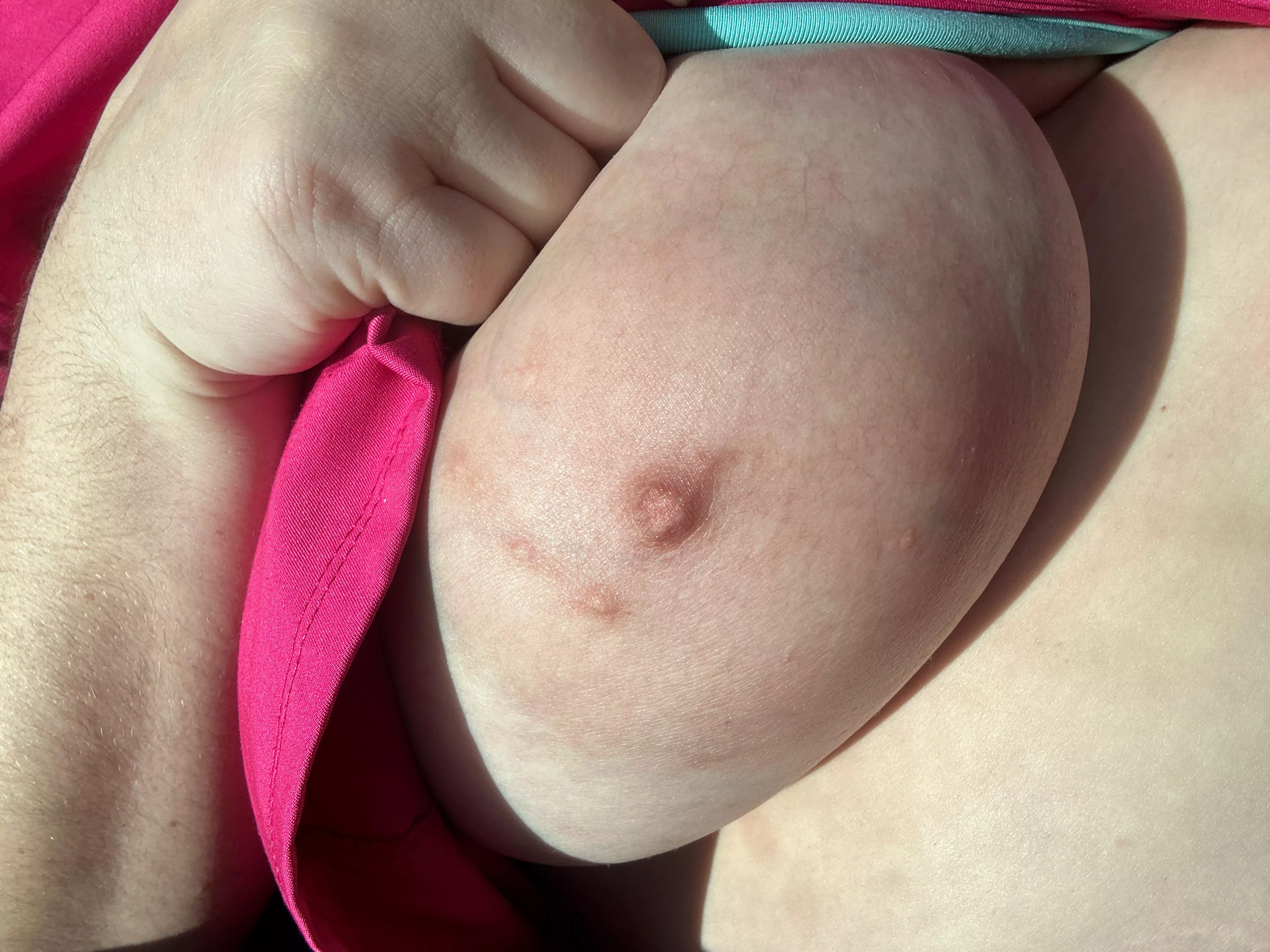 Let her out for some sun posted by Large_Badger8317