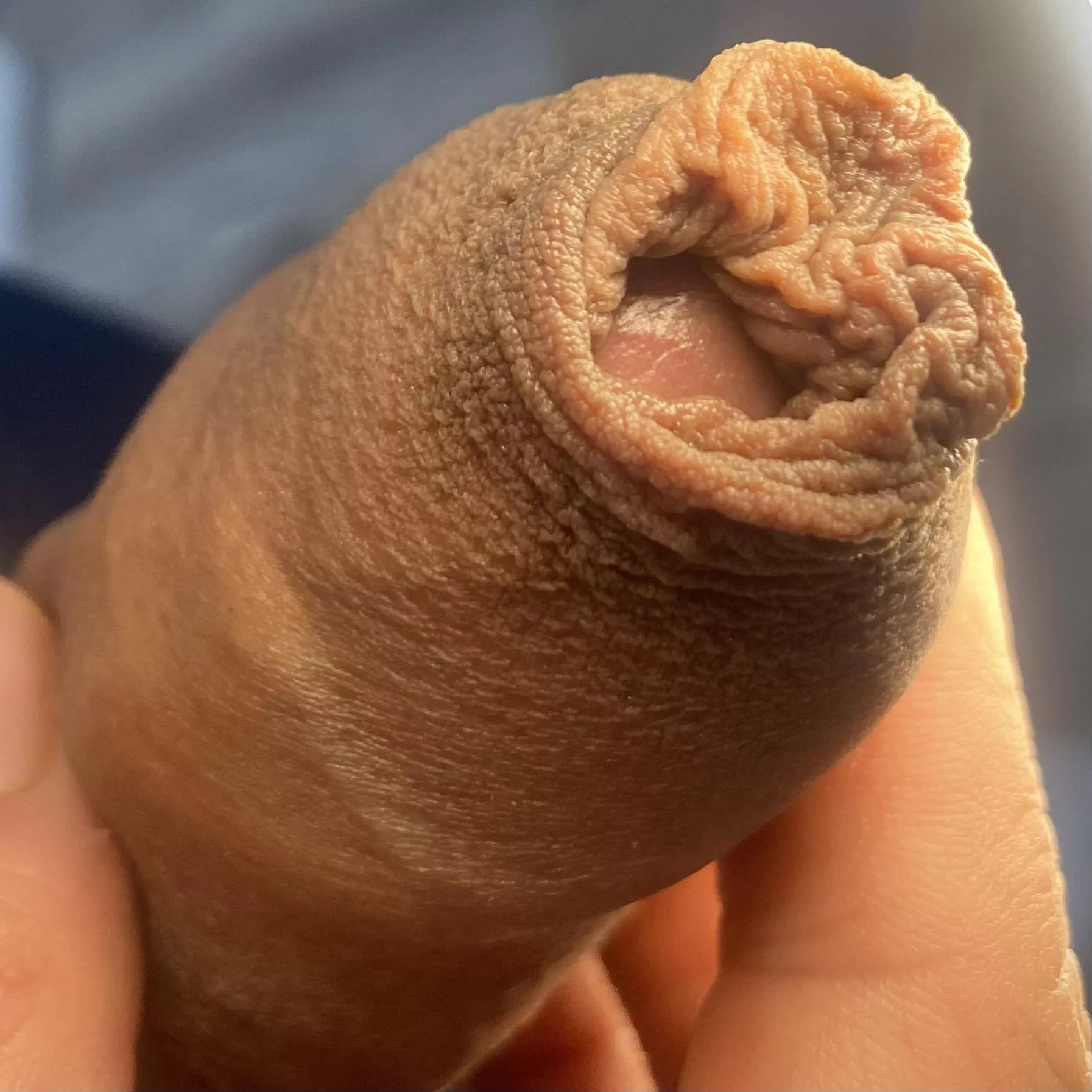 Meaty and picture perfect posted by iso_uncut