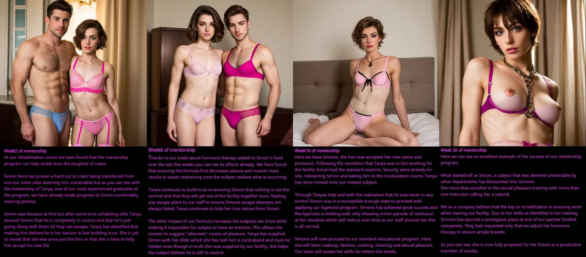 Mentorship program by Lelmay