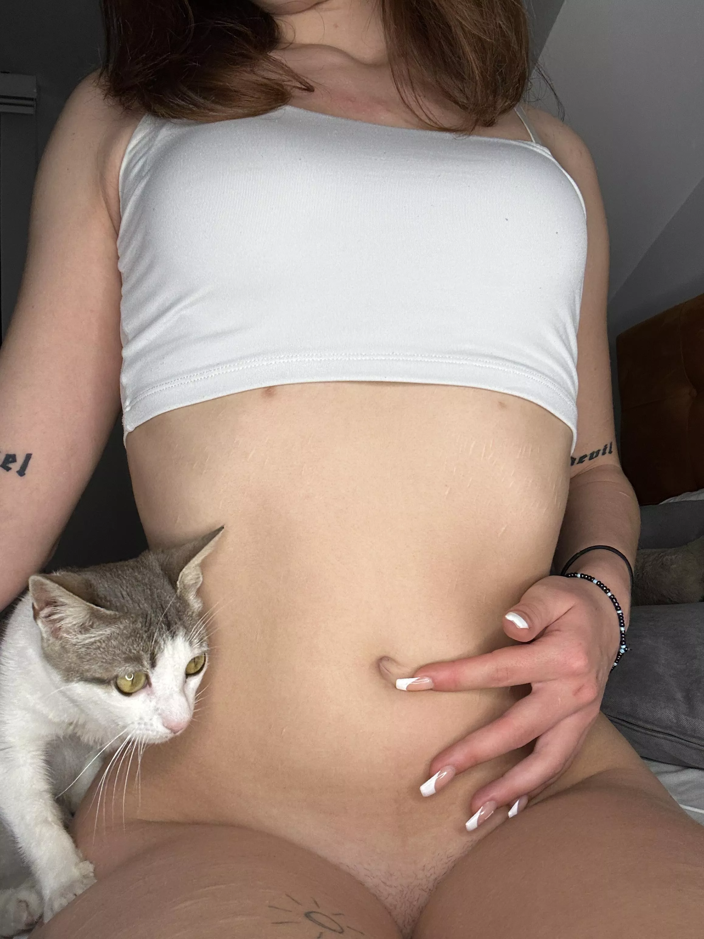My cat doesnt like my belly button... i hope you do posted by zmot25