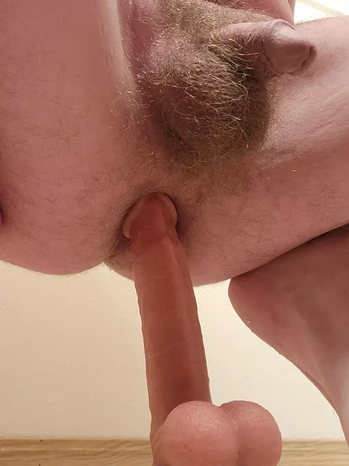 Riding with my softy by Neither-Watch-6825