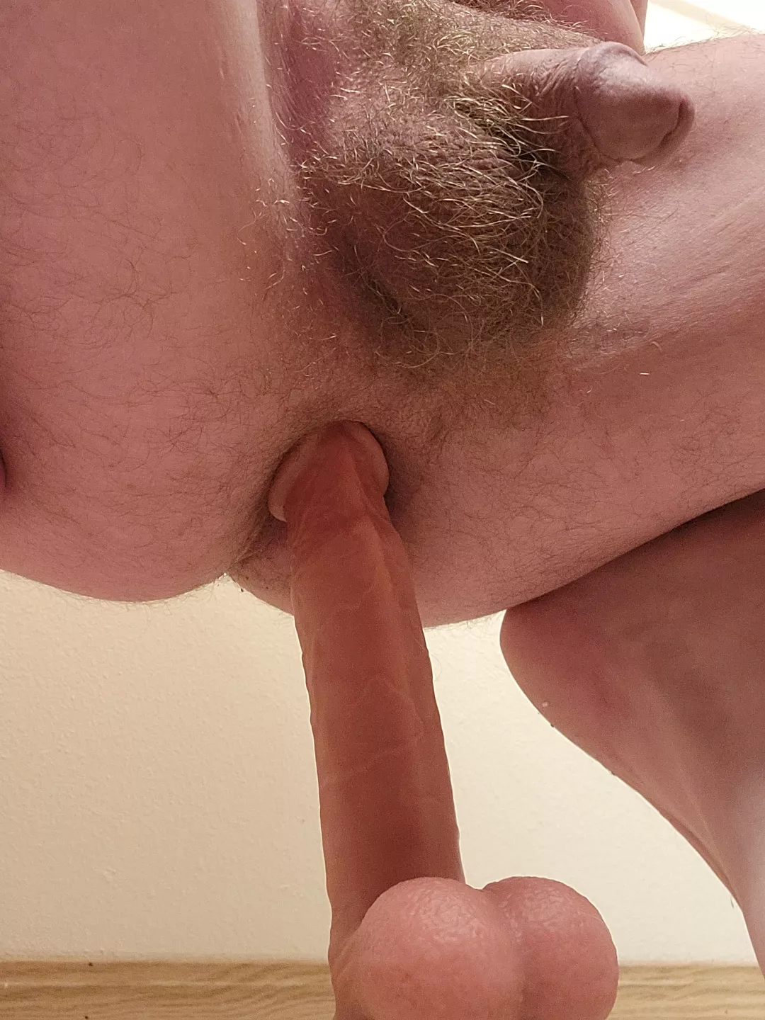 Riding with my softy posted by Neither-Watch-6825