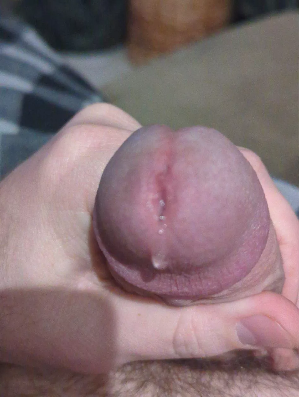 Small drip posted by ryno0986