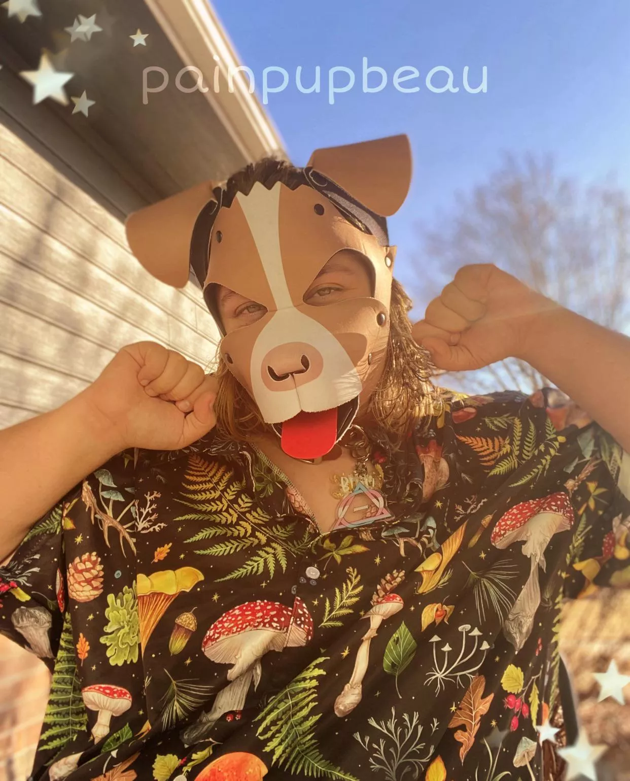 ☀️Sunshine☀️ posted by beau-lilpup