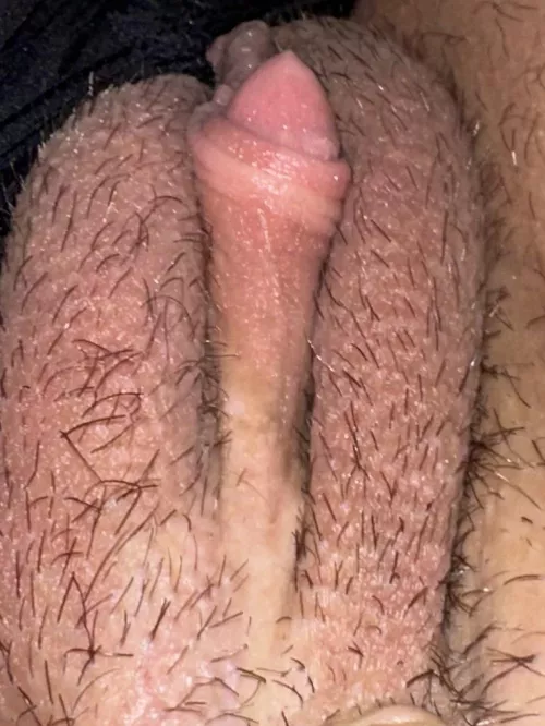 The view ok first thing you want to do by adnew56033