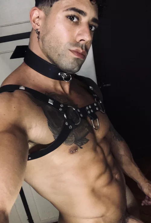 Would you like to be punished or punish me? by TattooedMuscled