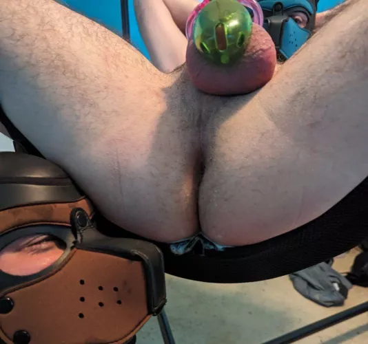 [34M] Daddies Cum Dump by theealty