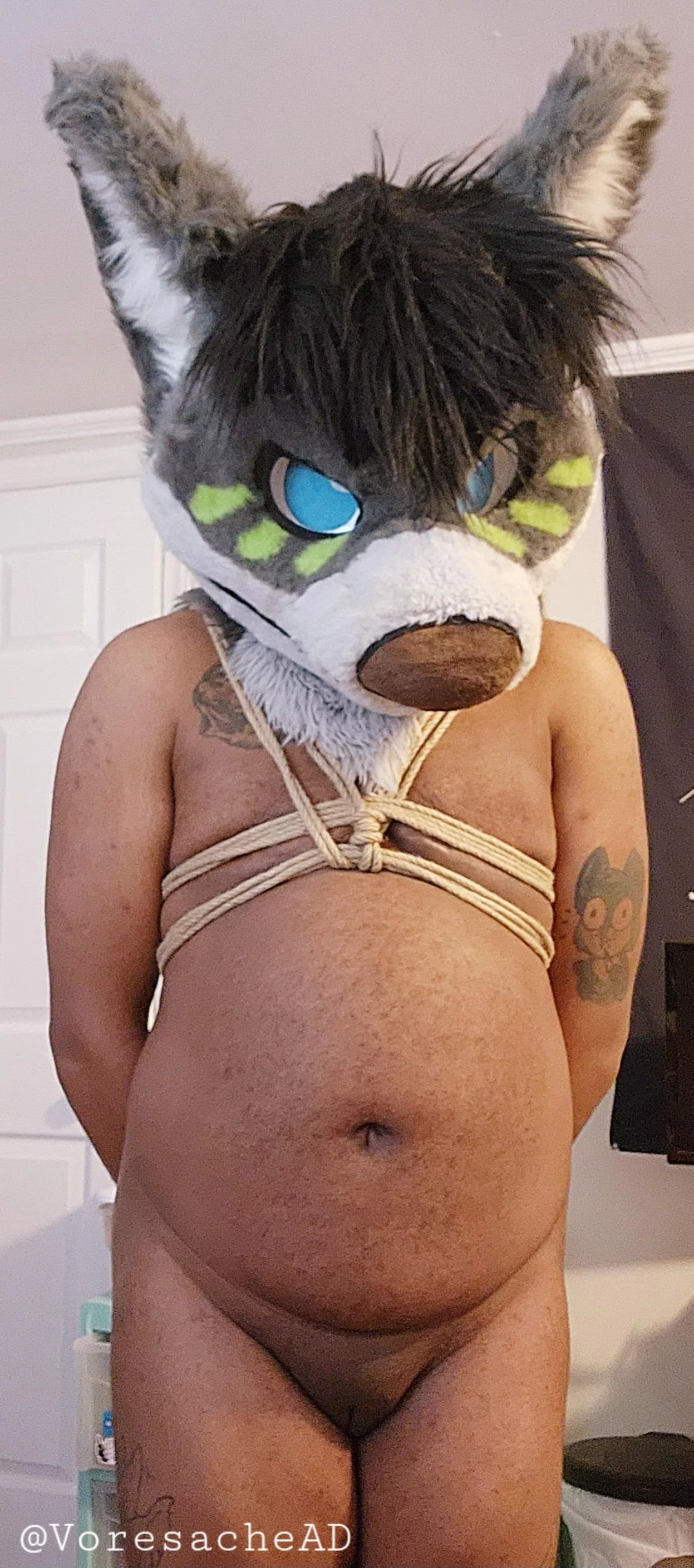 A gift for Mursuit Monday (he/him) posted by Voresache